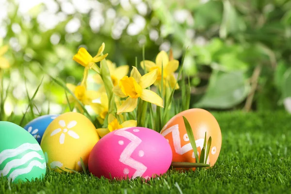 五彩缤纷的复活节彩蛋和绿草中的水仙花 — 图库照片