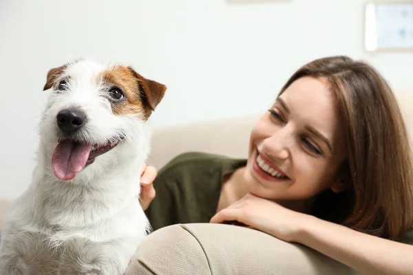 Evdeki Kanepede Tatlı Jack Russell Terrier Olan Genç Bir Kadın — Stok fotoğraf