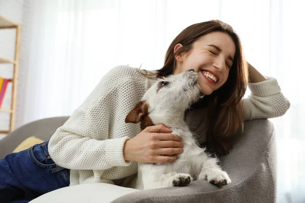 自宅でソファの上に彼女のかわいいジャック ラッセル テリアと若い女性 可愛いペット — ストック写真