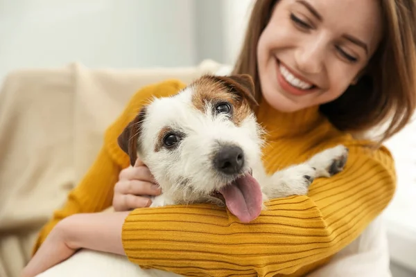 Mujer Joven Con Lindo Jack Russell Terrier Casa Primer Plano — Foto de Stock