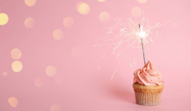 Pembe arka planda maytaplı doğum günü pastası. Metin için boşluk