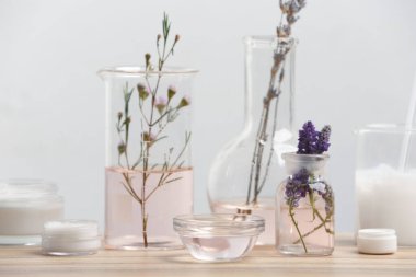 Bitkisel kozmetik ürünleri, laboratuvar vitrinleri ve ahşap masadaki malzemeler.