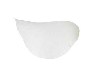 Taze gül yaprağı beyaza izole edilmiş.