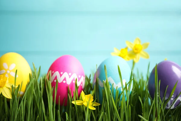 Colorful Easter eggs and narcissus flowers in green grass against light blue background