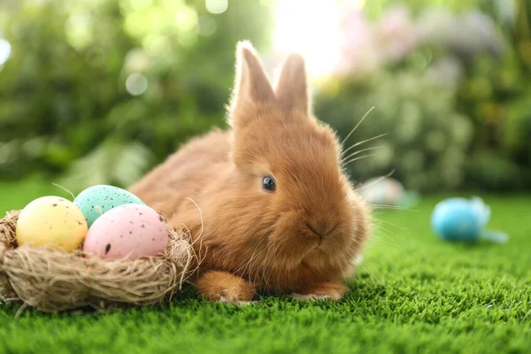 Bedårande Fluffig Kanin Och Dekorativt Med Påskägg Grönt Gräs Närbild — Stockfoto