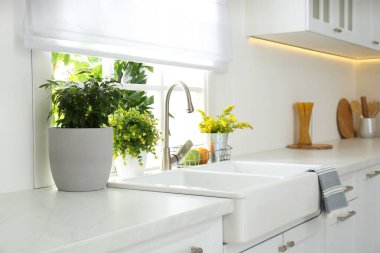 Modern mutfağın penceresinin yanında güzel beyaz lavabo