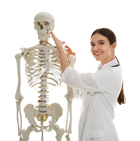 Жіночий Ортопед Моделлю Людського Скелета Білому Тлі — стокове фото