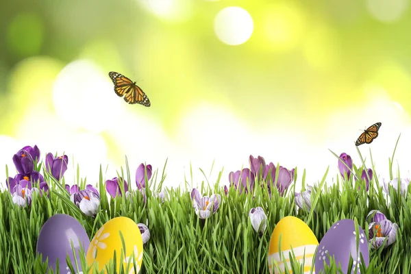 Színes Húsvéti Tojás Virágokkal Zöld Fűben Pillangók Elmosódott Háttéren — Stock Fotó