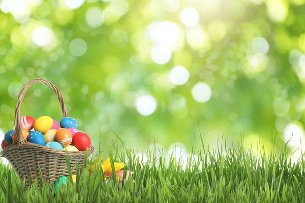 Huevos Pascua Canasta Mimbre Sobre Hierba Verde Sobre Fondo Borroso —  Fotos de Stock