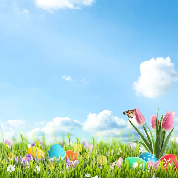 Bright Easter Eggs Flowers Green Grass Blue Background Space Text — Stock Photo, Image