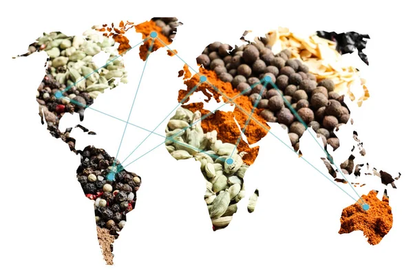 Dvojité Vystavení Mapy Světa Různé Koření Bílém Pozadí Logistický Velkoobchodní — Stock fotografie