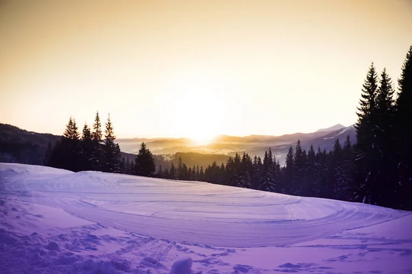 Vue Pittoresque Sur Colline Enneigée Forêt Conifères Hiver — Photo