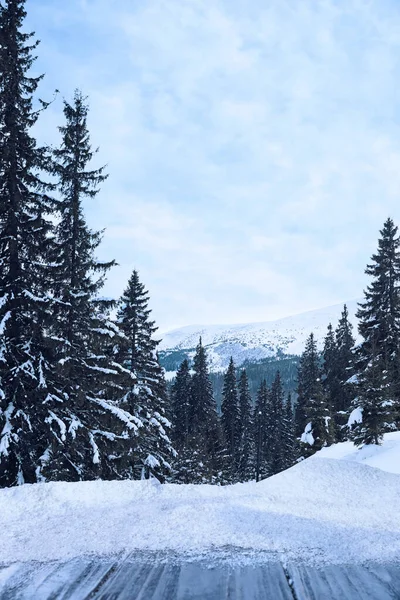 Hölzerne Oberfläche Und Schöne Aussicht Auf Die Winterlandschaft — Stockfoto