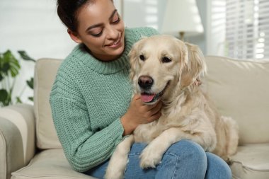 Genç kadın ve onun Golden Retriever 'ı evdeki kanepede. Sevimli hayvan.