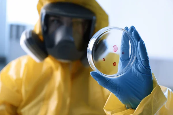 Científico Traje Protección Química Con Placa Petri Laboratorio Centrarse Mano — Foto de Stock