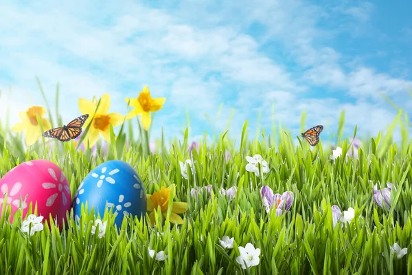 Élénk Húsvéti Tojás Zöld Fűben Pillangók Ellen Kék — Stock Fotó