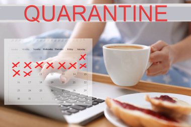 Evde bilgisayarını kullanan kahveli bir kadın, yakın plan. Koronavirüs salgını sırasında karantina