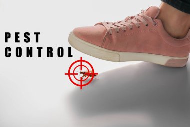 Ayakları beyaz arka planda hamamböceği ezen kadın, yakın plan. Haşere kontrolü