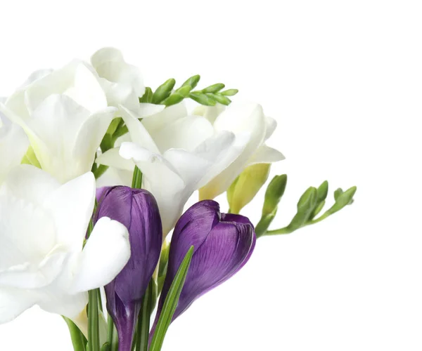 Bouquet Bellissimi Fiori Primaverili Sfondo Bianco — Foto Stock