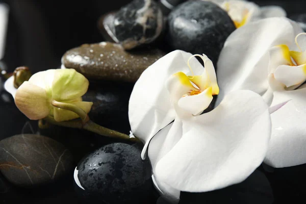 Spa Stenen Orchidee Bloemen Water Zwarte Achtergrond Close Zen Levensstijl — Stockfoto