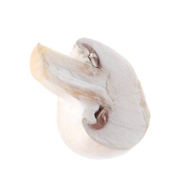 Bir parça taze şampiyon mantarı beyaza izole edilmiş.