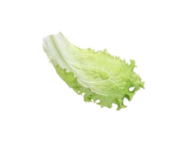 Blatt Frischer Grüner Salat Isoliert Auf Weißem — Stockfoto