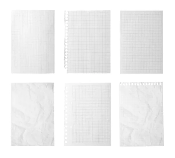 Conjunto Diferentes Papéis Caderno Sobre Fundo Branco — Fotografia de Stock