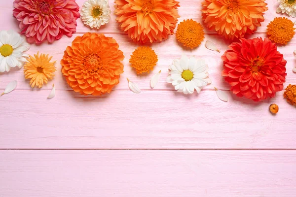 Composición Plana Con Hermosas Flores Dalia Naranja Sobre Fondo Madera — Foto de Stock