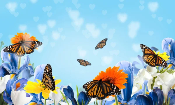 Belles Fleurs Fleuries Des Papillons Monarques Fragiles — Photo