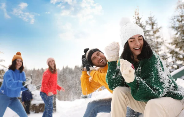Group Friends Playing Snowballs Outdoors Winter Vacation Stock Picture