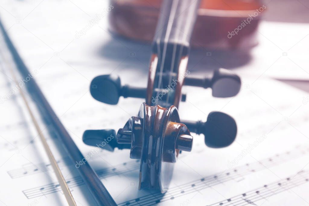 Beautiful classic violin, closeup view. Musical instrument