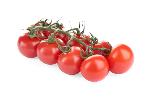 Branch Fresh Cherry Tomatoes Isolated White — Stock Photo, Image