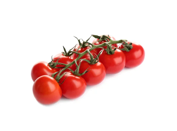 Branche Tomates Cerises Fraîches Isolées Sur Blanc — Photo
