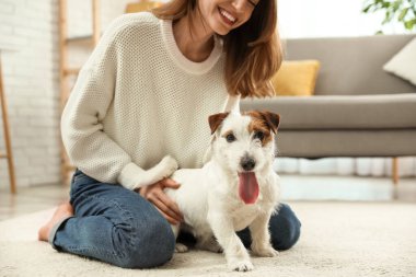 Jack Russell Terrier 'i olan genç bir kadın. Sevimli hayvan