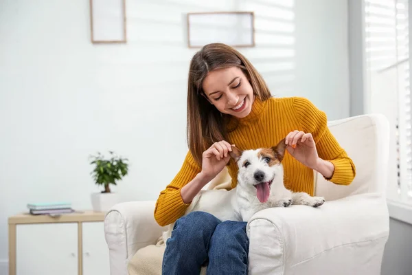 Jovem Com Seu Bonito Jack Russell Terrier Poltrona Casa Bonito — Fotografia de Stock