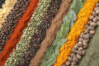 Arka plan olarak farklı baharatlar kümesi, üst görünüm