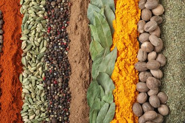 Arka plan olarak farklı baharatlar kümesi, üst görünüm