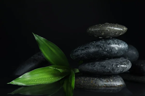 Stenen Bamboe Spruiten Water Zwarte Achtergrond Zen Levensstijl — Stockfoto