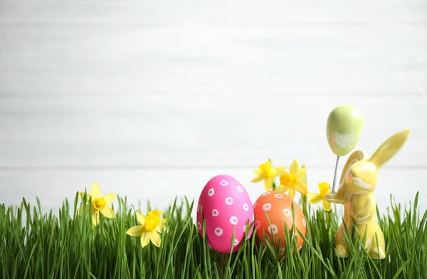 Colorful Easter Eggs Rabbit Narcissus Flowers Green Grass White Background — Stock Photo, Image