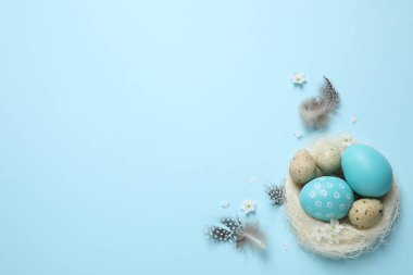 Açık mavi arka planda Paskalya yumurtalarının olduğu düz bir kompozisyon. Metin için boşluk