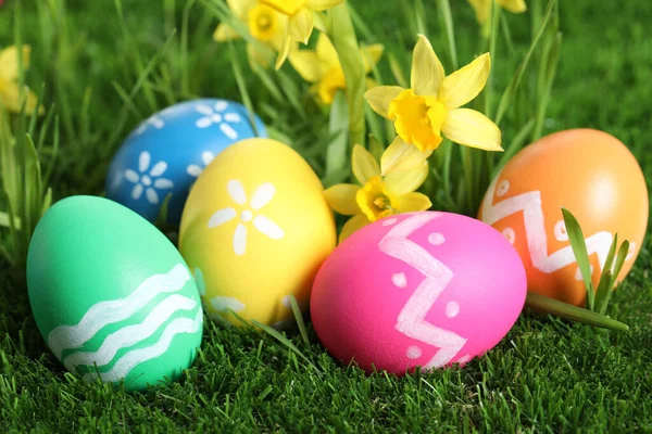 Coloridos Huevos Pascua Flores Narciso Hierba Verde Primer Plano —  Fotos de Stock
