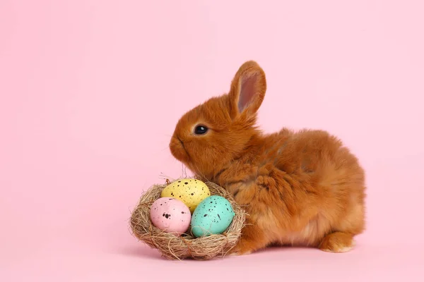 Şirin Tüylü Tavşan Pembe Arka Planda Paskalya Yumurtaları Olan Dekoratif — Stok fotoğraf