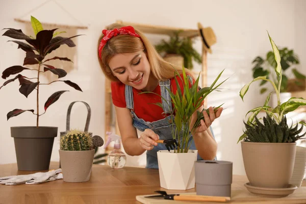 Ung Kvinna Planterar Vacker Växt Hemma Engagerande Hobby — Stockfoto