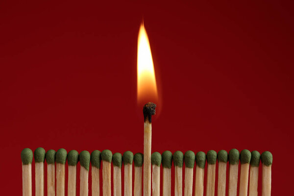 Burning match among unlit ones on red background, closeup