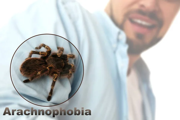 Vue Rapprochée Homme Effrayé Avec Tarentule Concentrer Sur Araignée Arachnophobie — Photo