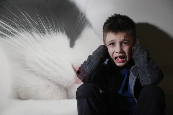 Kleine Jongen Die Lijdt Aan Ailurophobia Irrationele Angst Voor Katten — Stockfoto
