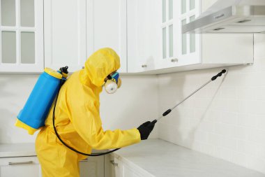 Koruyucu giysili haşerat kontrol işçisi. İçerideki mobilyalara böcek ilacı sıkıyor.