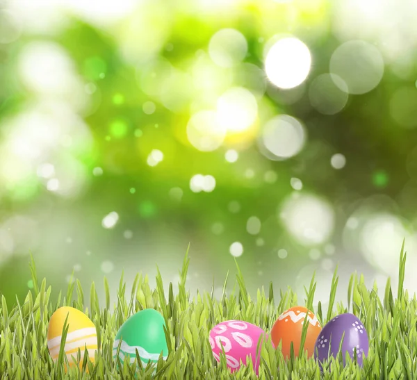 绿草中色彩斑斓的复活节彩蛋 背景模糊 文字空白 — 图库照片