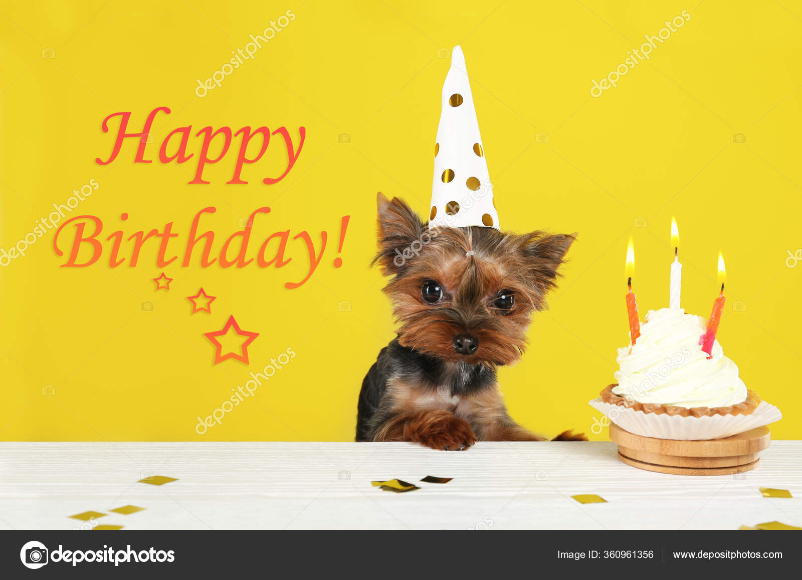 Petit Chien Joyeux Anniversaire Images Libres De Droit Photos De Petit Chien Joyeux Anniversaire Depositphotos