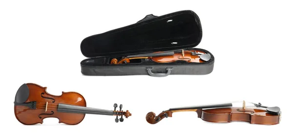 Conjunto Violines Clásicos Sobre Fondo Blanco — Foto de Stock